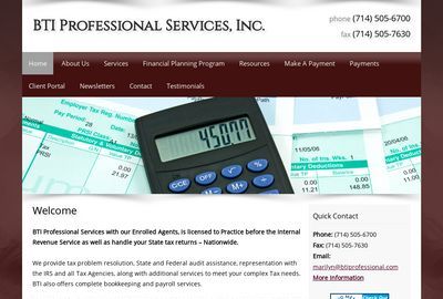 BTI Professional Services Inc.
